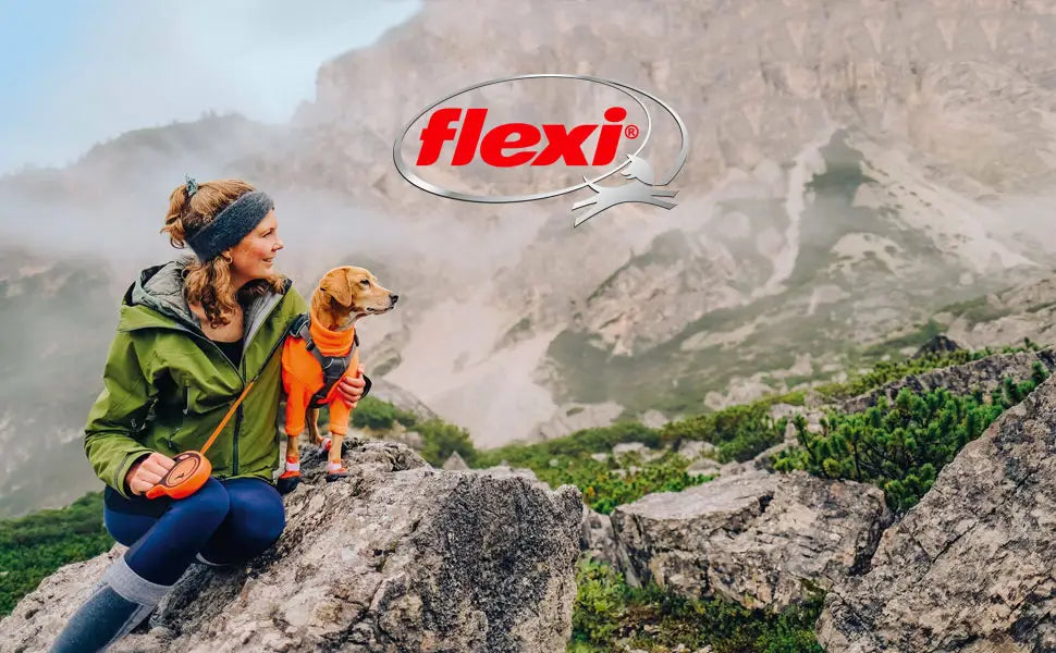 flexi retractable dog leads
