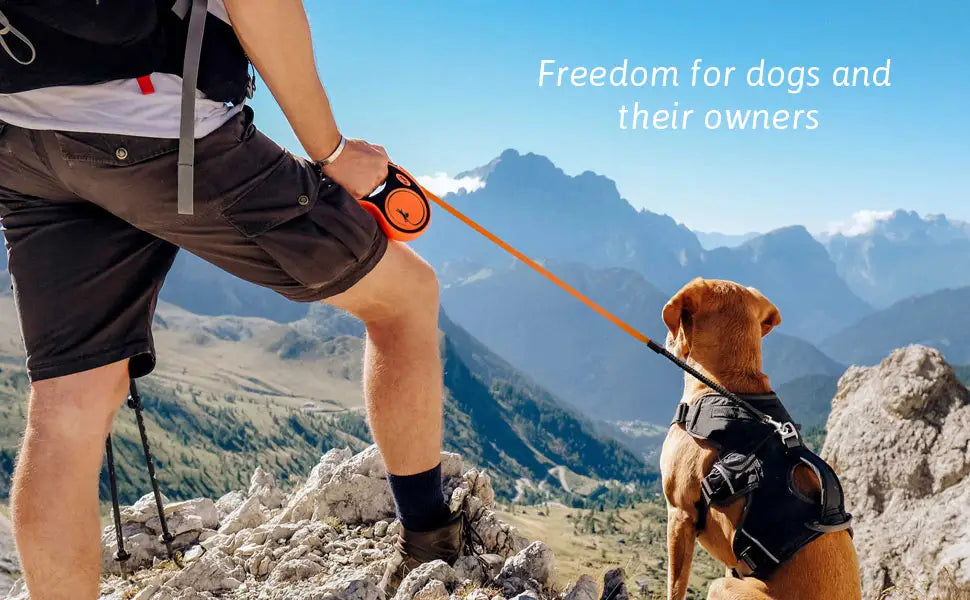 Freedom for dogs and their owners