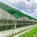 BeGrit Greenhouse Shading Net with Grommets Pergola Shading Netting 50% Shading Rate UV Resistant Sunblock Shade Cloth Greenhouse Shading Blinds for Garden Flower Plant Green (1.8m X 2m)