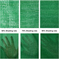 Green shade cloth with varying densities for greenhouse shading and garden protection