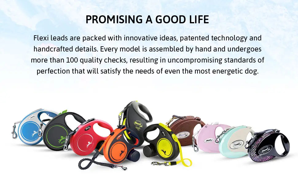 promising a good life