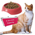 Orange and white cat with Gusto Bowls near CAT CENTRE Pink Roto Litter Tray