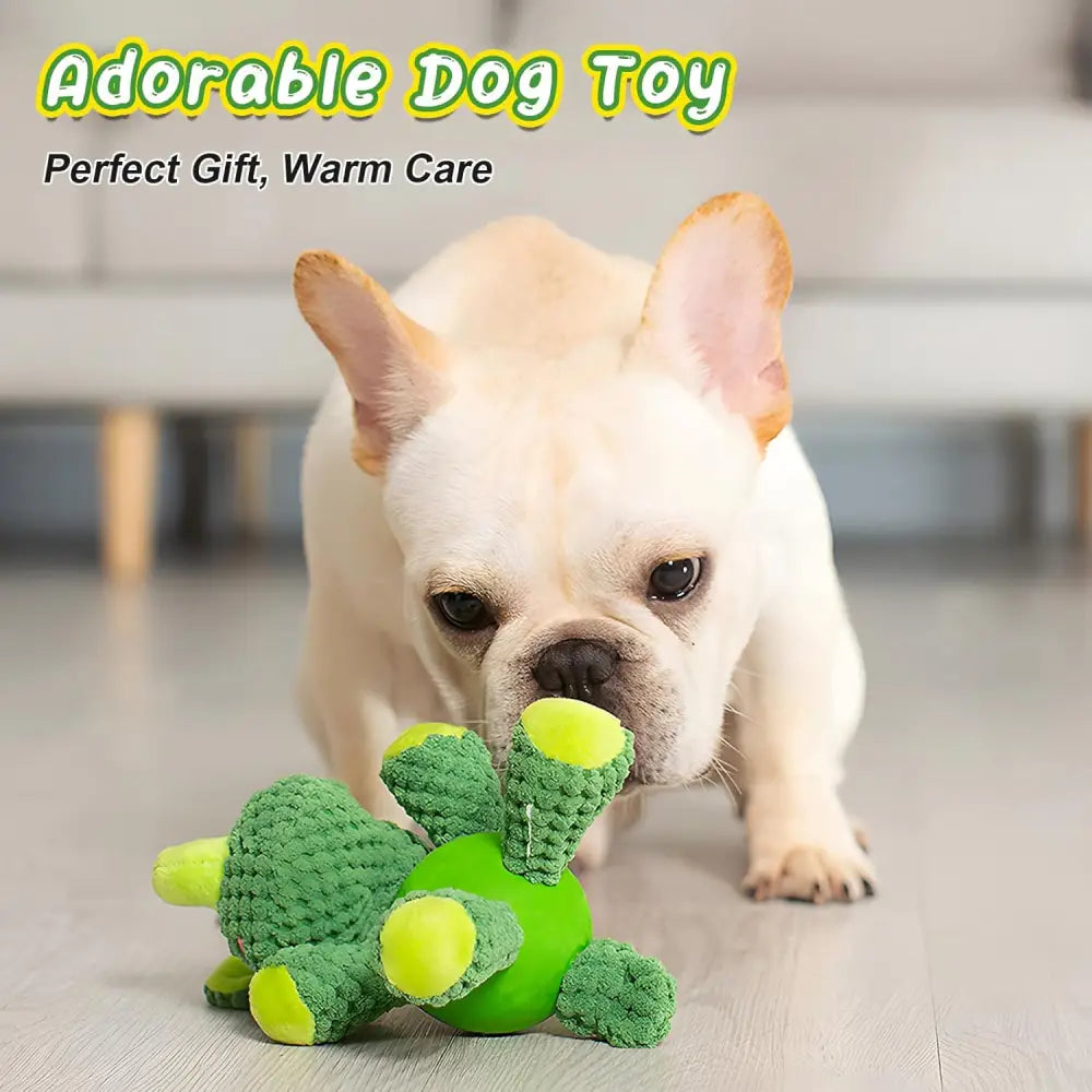 White French Bulldog with green plush dog toy featuring squeaker and latex ball for playful fun