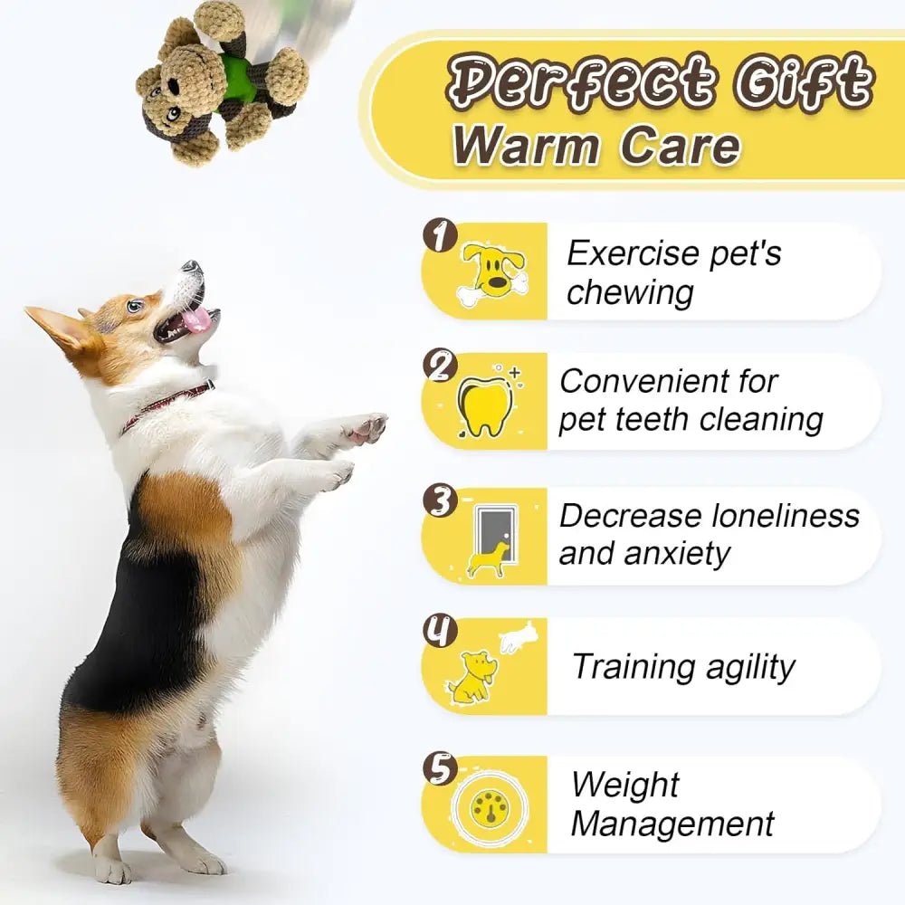 Dog toy benefits including stress relief, dental health, and engaging play for small dogs