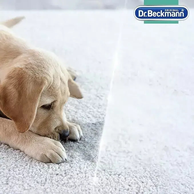 Dog lying on carpet with Dr Beckman Pet Odour Remover Stain Remover Carpet Upholstery Cleaner