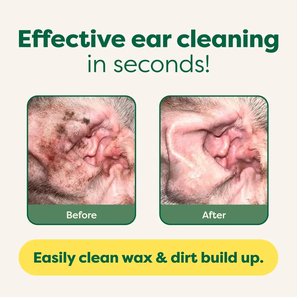 Before and after ear cleaning using Earth Rated Hypoallergenic Dog Wipes for grooming