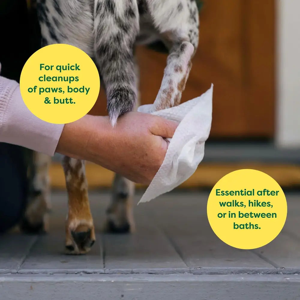 Dog paw being cleaned with Earth Rated Hypoallergenic Dog Wipes for odour-controlling grooming