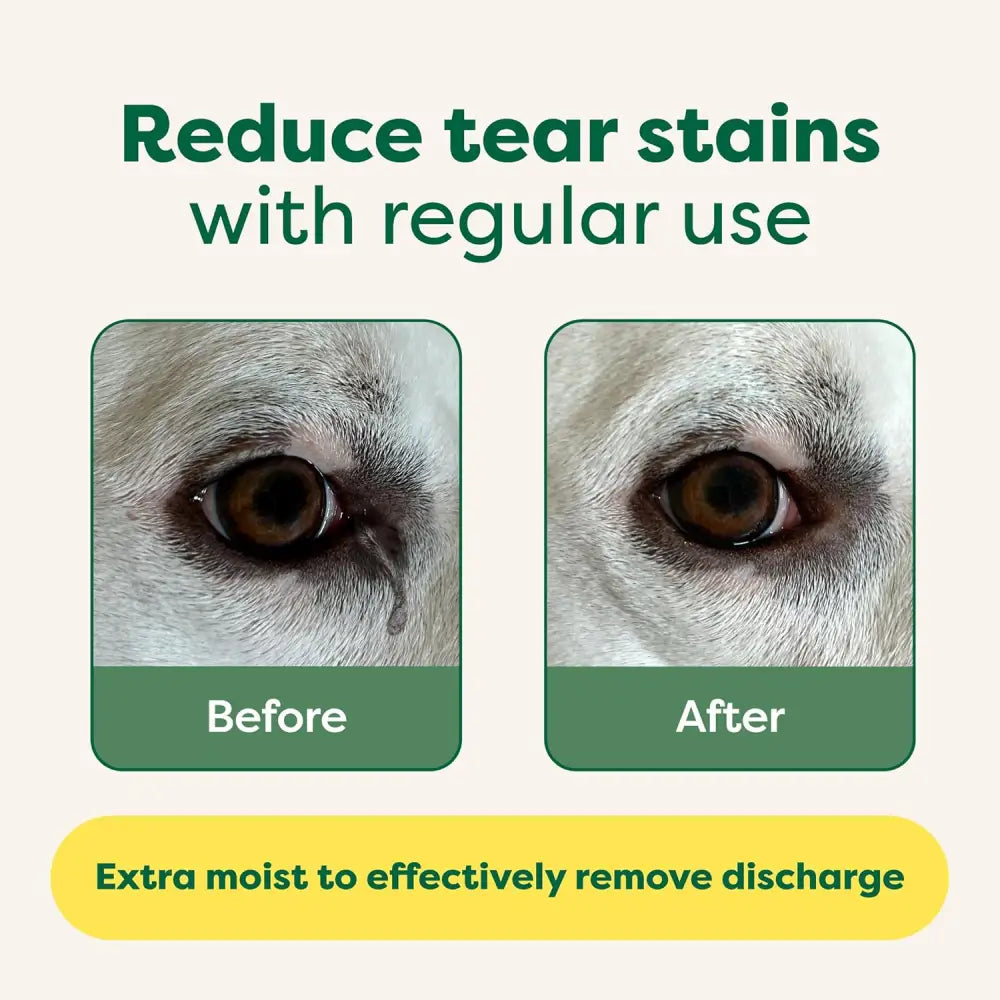 Dog tear stain reduction using Earth Rated Hypoallergenic Dog Wipes for odour-controlling grooming