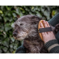 Gray Terrier being brushed with Mikki Bamboo Moulting Massage Palm Brush for grooming