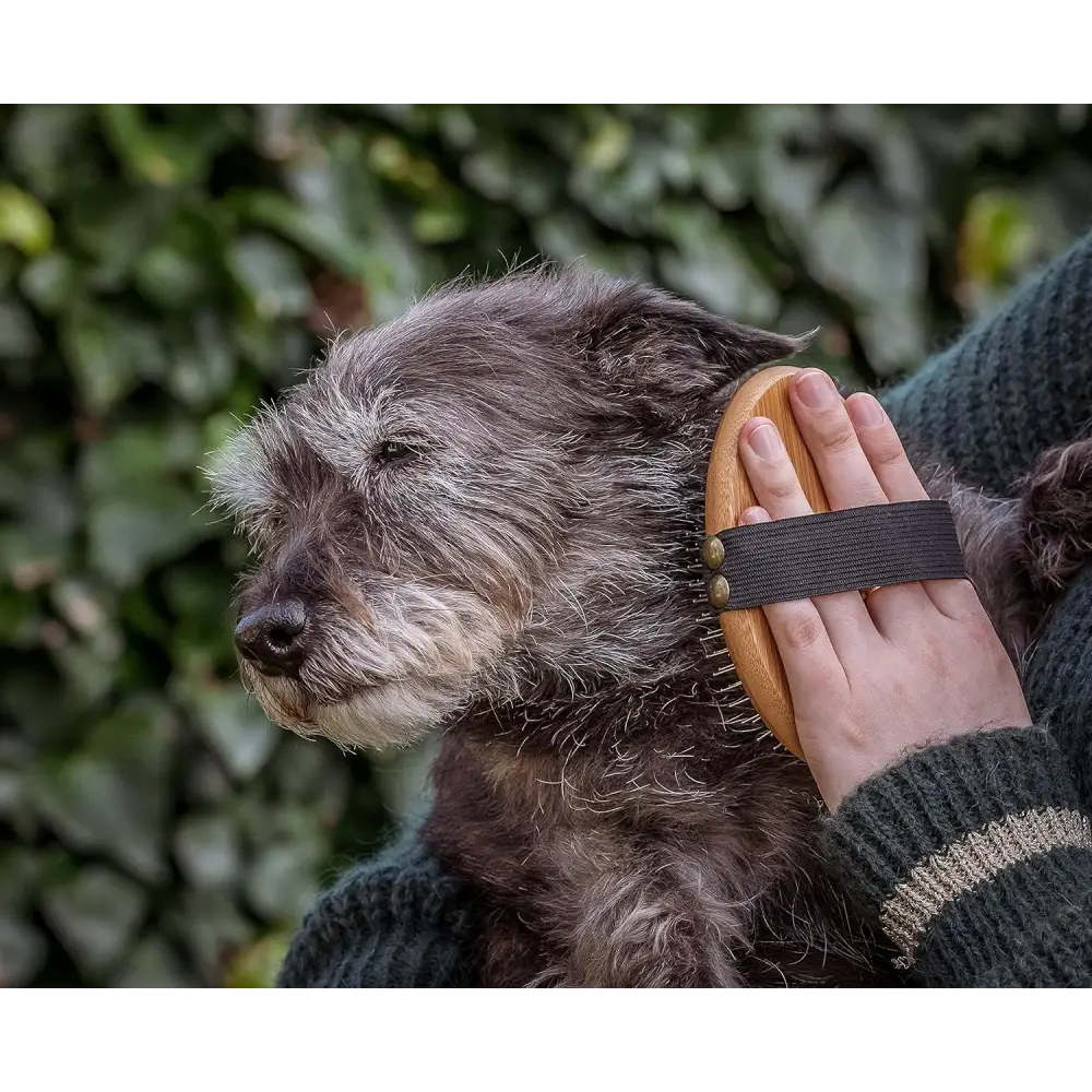 Gray Terrier being brushed with Mikki Bamboo Moulting Massage Palm Brush for grooming