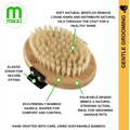 Mikki Bamboo Moulting Massage Palm Brush for Gentle Grooming of Dogs and Cats