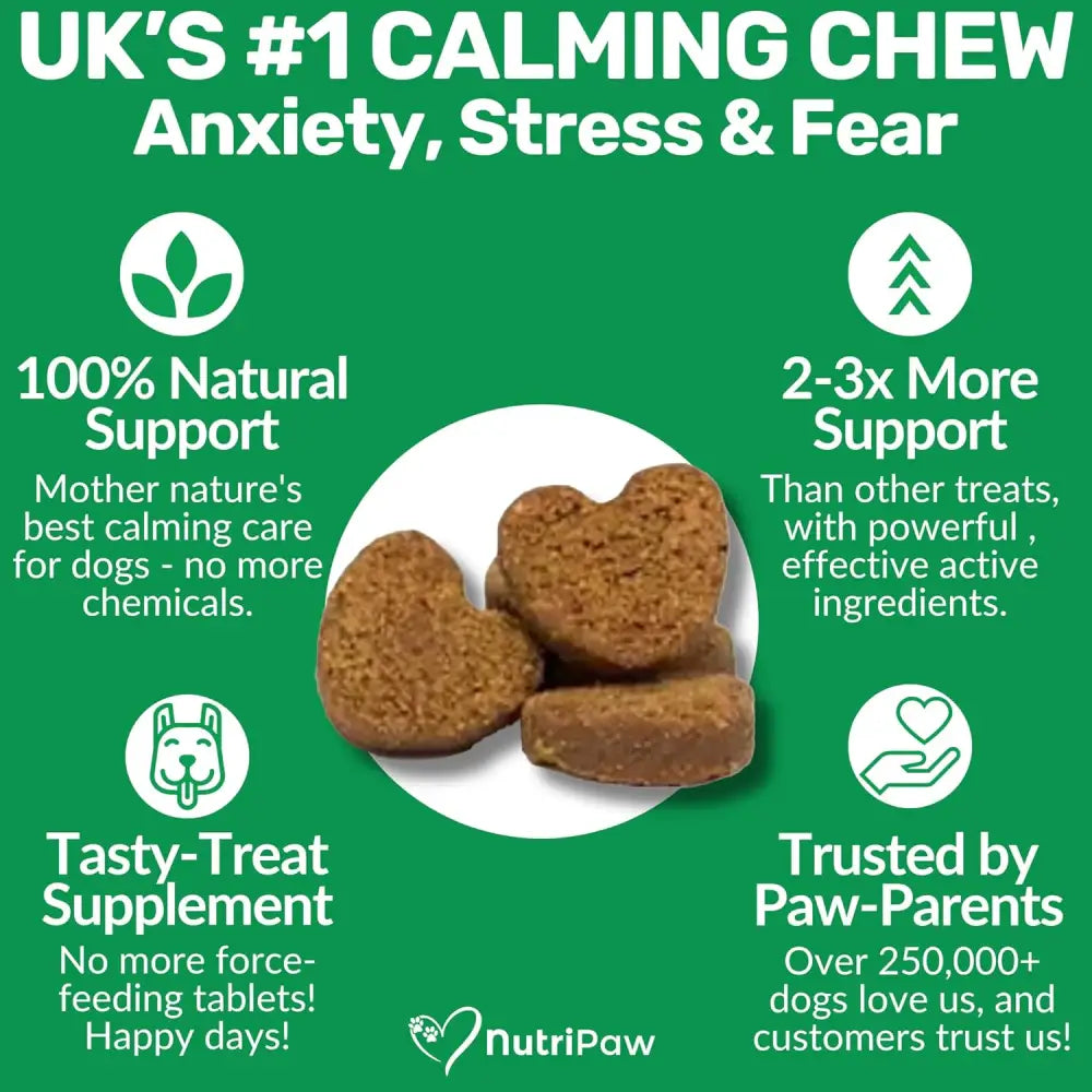 NutriPaw Calming Treats for Dogs helping reduce dog’s anxiety without drowsiness