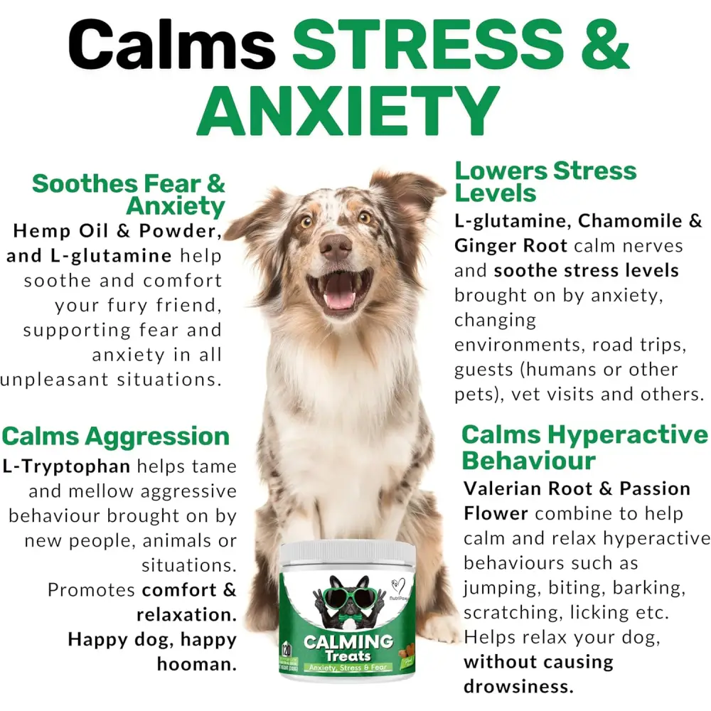 NutriPaw Calming Treats for Dogs help reduce dog’s anxiety without drowsiness dogs