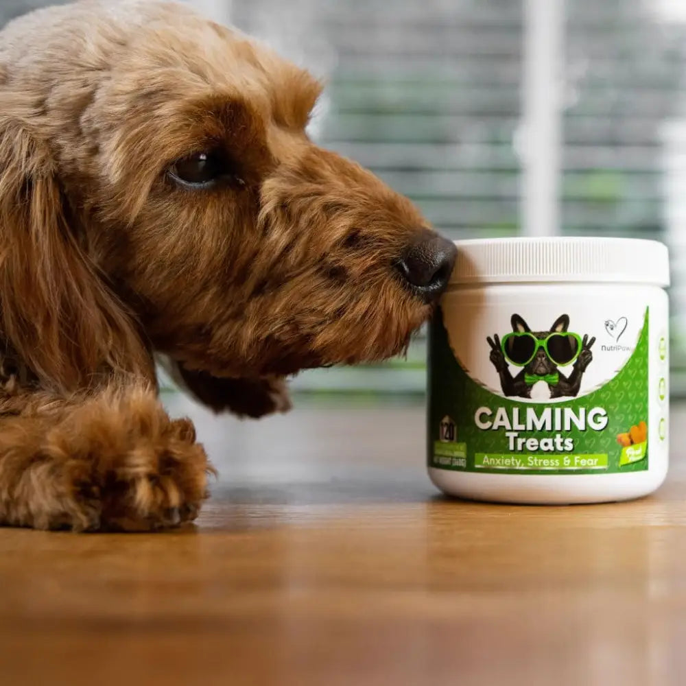 NutriPaw Calming Treats for Dogs help reduce dog’s anxiety without drowsiness