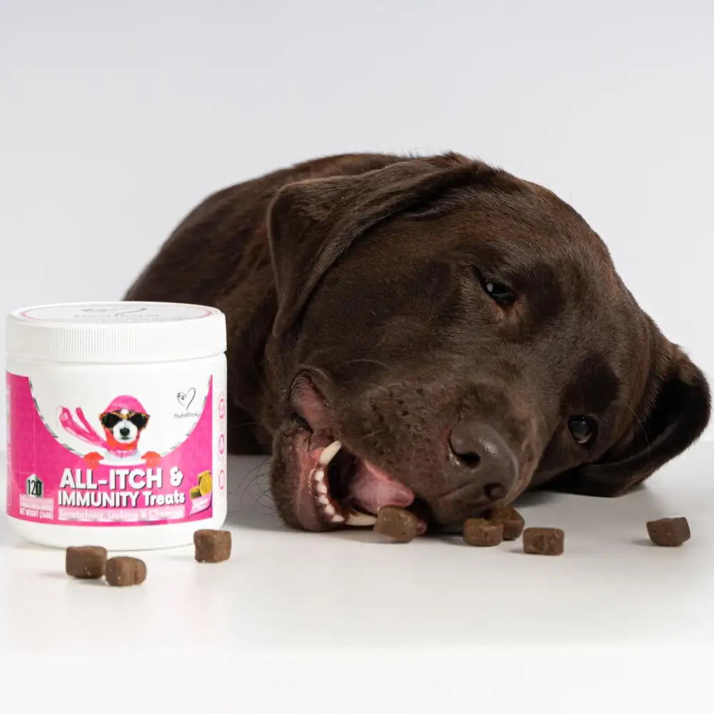 NutriPaw Calming Treats for Dogs to ease dog’s anxiety without drowsiness dogs