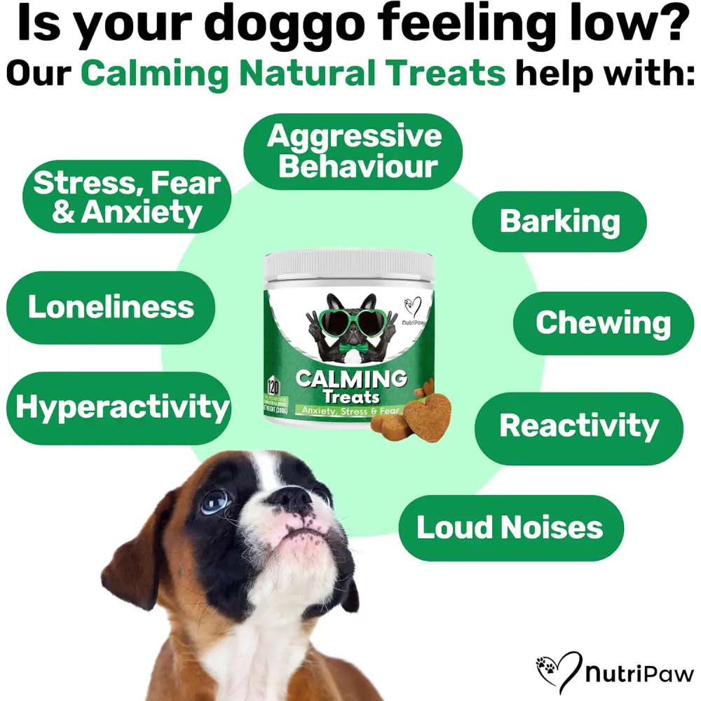 NutriPaw Calming Treats for Dogs help reduce dog’s anxiety without drowsiness