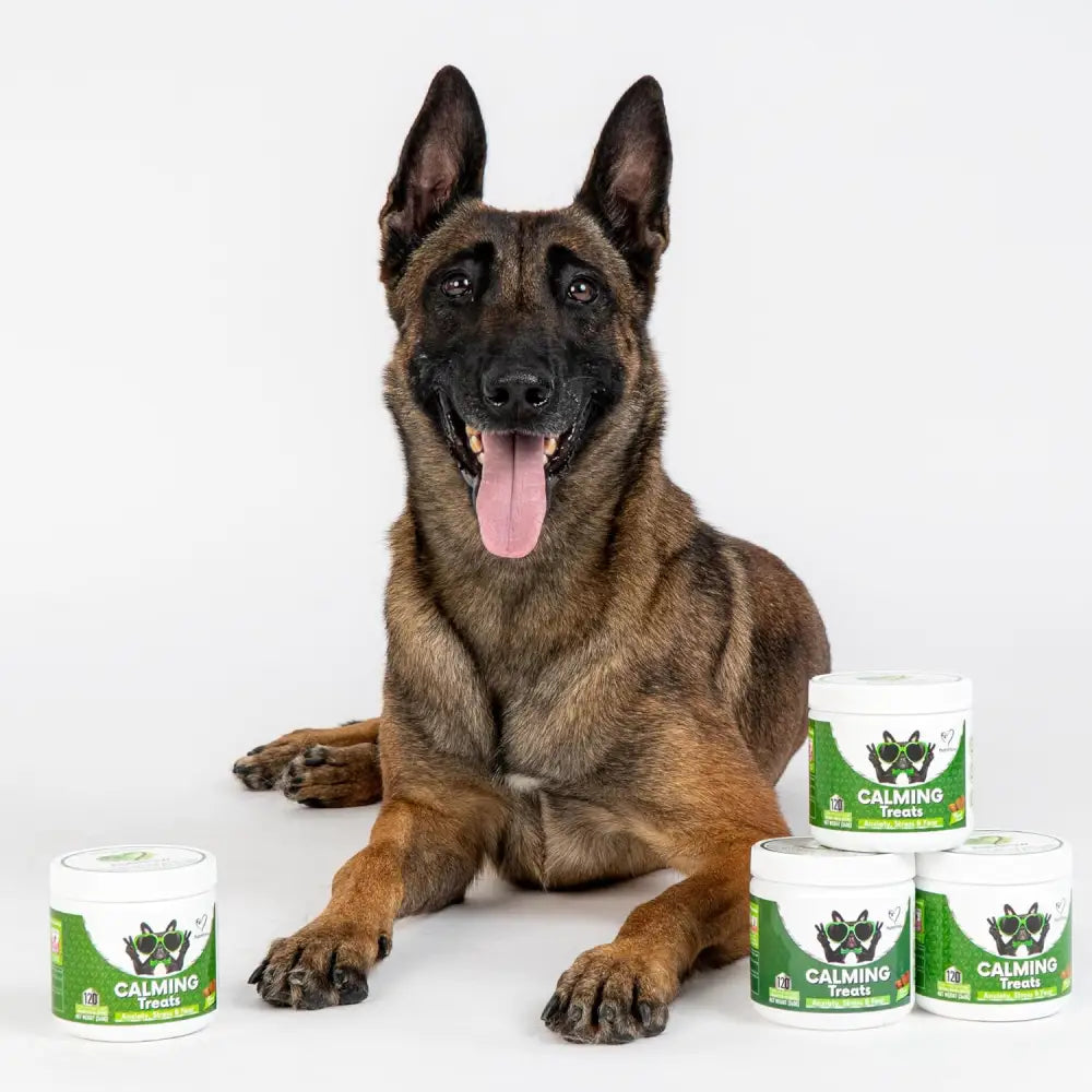 NutriPaw Calming Treats for Dogs to reduce anxiety without drowsiness dogs