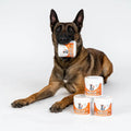 Dog happily holds NutriPaw Calming Treats container for anxiety relief without drowsiness