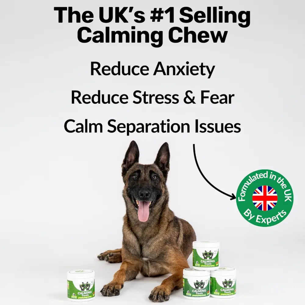 NutriPaw Calming Treats for Dogs to reduce dog’s anxiety without drowsiness dogs