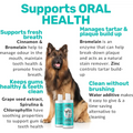 NutriPaw Dental Formula Water Additive For Dogs & Cats - Clean Teeth Healthy Gums & Fresh Breath - Manage Plaque &