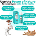 NutriPaw Dental Formula Water Additive For Dogs & Cats - Clean Teeth Healthy Gums & Fresh Breath - Manage Plaque &