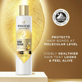 Pantene Molecular Bond Repair Shampoo Conditioner Treatment