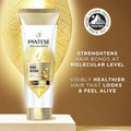 Pantene Molecular Bond Repair Shampoo Conditioner Treatment