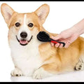 Happy Corgi enjoying grooming with double sided pet brush for dogs cats puppy
