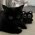 Black cat with matching plush toy, a cuddly stuffed animal and perfect cat pendant toy