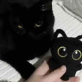 Black cat with Plush Cat Pendant Toy, a cuddly stuffed animal ideal for gifts