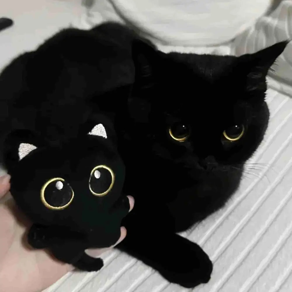 Black cat with yellow eyes and plush cat pendant toy, cuddly stuffed animal gift