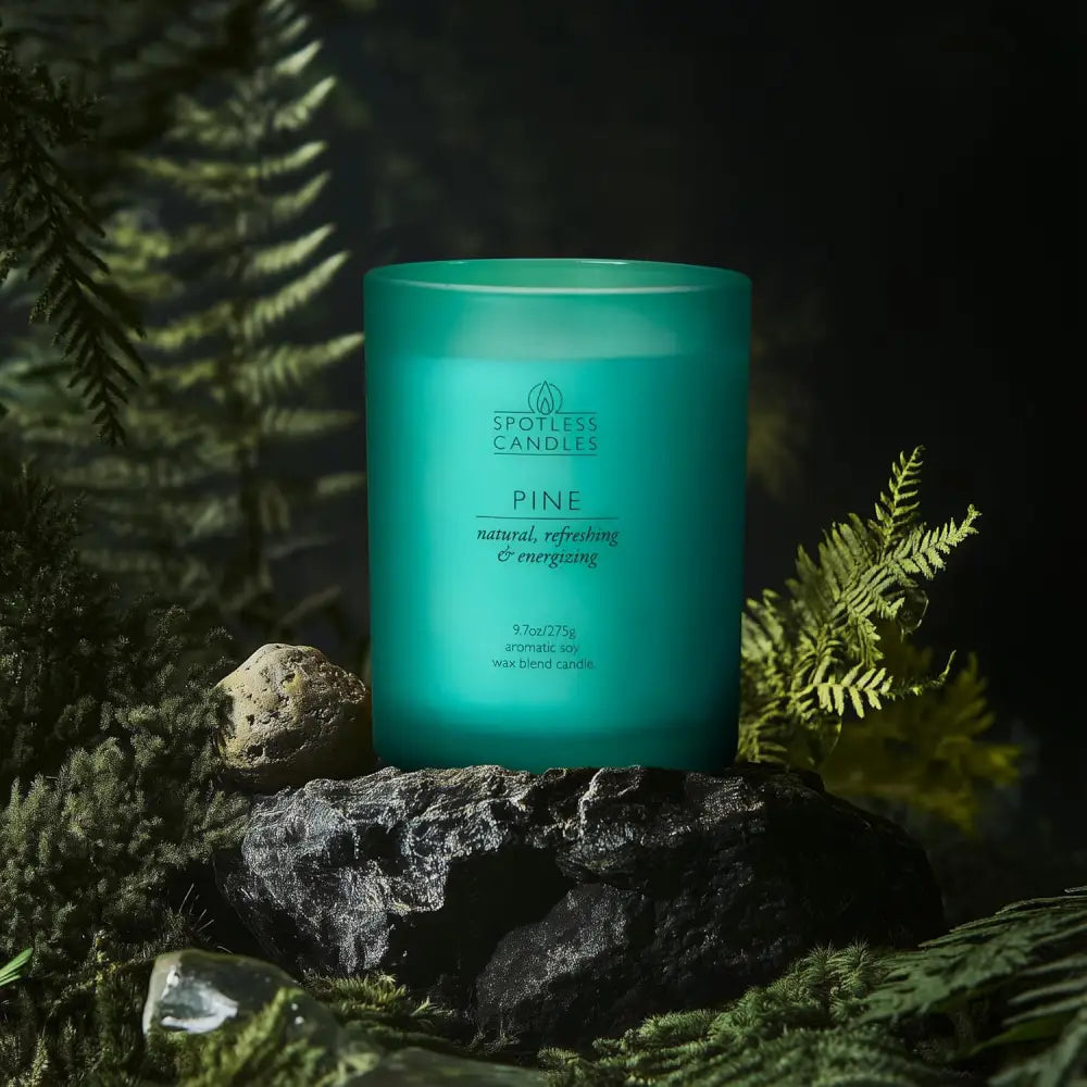 Teal pine-scented candle with a wooden crackling wick in a cream frosted glass jar