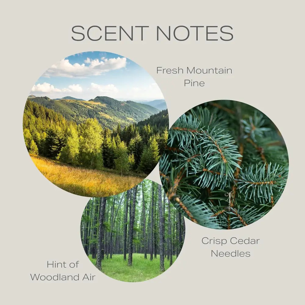 Scent notes with forest imagery in Vanilla Scented Candle with Wooden Crackling Wick